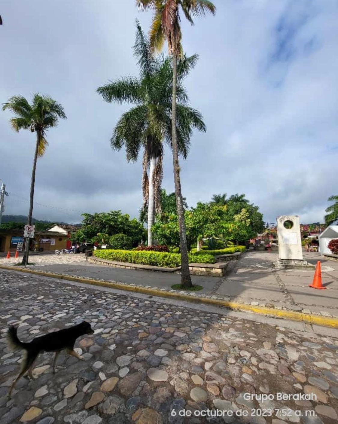 Stella Hostel Copán エクステリア 写真